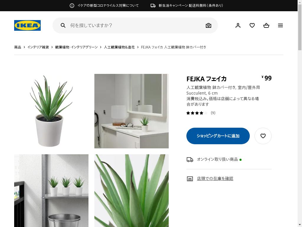Fejka フェイカ 人工観葉植物 鉢カバー付き 室内 屋外用 Succulent 803 953 09 Ikea通販 イケア Ikea オンラインショッピング通販代行 代行のイケダン